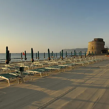 Mare E Ulivi